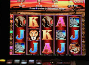 壹号.ccm下载168免费版