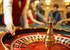 壹号.ccm下载1682024最新版